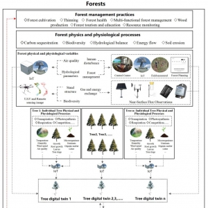 智慧经营  ▏森林数字孪生体的构建技术体系与应用模式