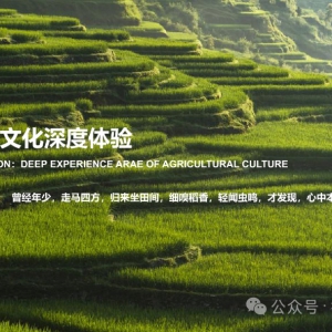 数智时代文旅融合的耦合机理研究——基于数字产业与旅游产业协同集聚视角 ...