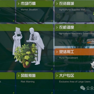 【智慧农业篇】科技赋能打造绿色高产水稻种植示范区