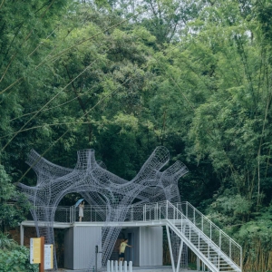 【探索研究】艺术介入视角下乡村公共空间的优化实践路径