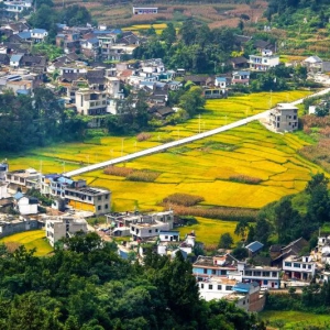 面向“十五五”：积极推动全域土地综合整治改革创新