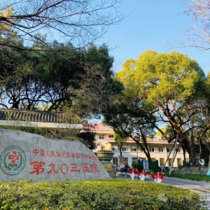 903医院：杭州唯一的竹柏古树＆很有看头的一棵古樟