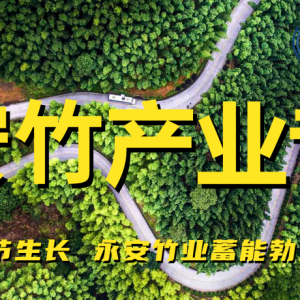 永安竹产业 | 招商窗口：竹木剩余物炭气电联产项目