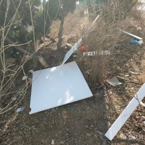 城市绿肺的烦恼：市政绿地垃圾从哪来？绿化养护为何陷入“保洁困局” ...