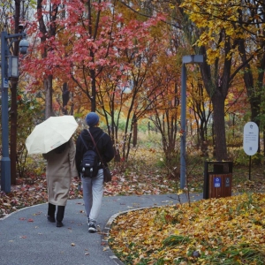 一把手访谈｜市园林绿化局局长：打磨夜间IP，激活公园活力