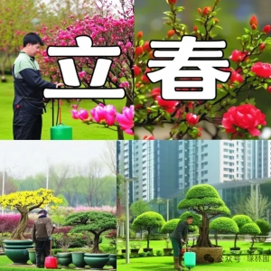 2026年2月园林绿化养护工作计划：南北同筑绿，精准迎春归