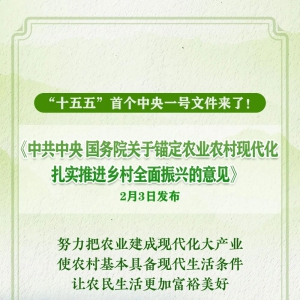 2026中央1号文件：深化农文旅融合，推动乡村旅游提档升级(附全文) ...