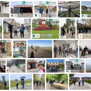 从"千万工程"到发展共同体：解读乡村片区组团的新阶段使命 ...