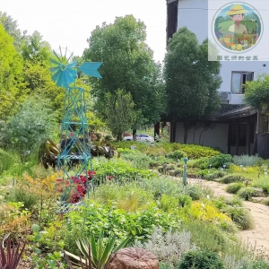 传统农户必看：未来5年，这100个服务模式将决定你的收入