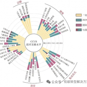 从“碳负担”到“碳资产”：链接 CCUS碳利用的产业革命与“降碳岛”新模式 ...