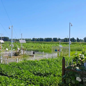 乡村振兴新引擎：盘点那些蓬勃兴起的新产业新业态（附业态策划清单） ...