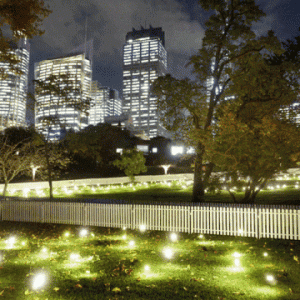 光影流萤，沉浸式灯光艺术