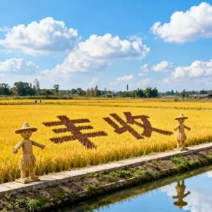 【产业观察】从“小而美”看见乡村的未来——解码2026中央一号文件中的农文旅新范式 ...