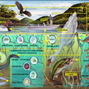2026中央一号文件释放千亿红利：智慧农业产业链哪些环节最值得关注？ ...