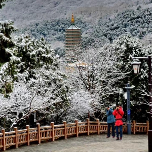 药乡国家森林公园森林康养旅游发展