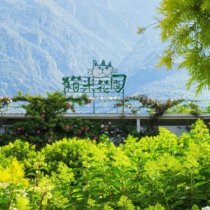 25亩花园，旺季月入70万！凭啥明星、综艺都抢着来