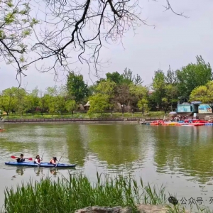 列子寓言里的城市运营：公园与地段