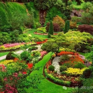 世界花园分享｜布查特花园 Butchart Gardens｜从废弃采石坑到疗愈心灵 ...