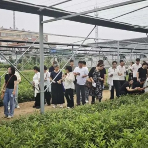 栓皮栎乡村振兴||热烈欢迎济宁市高级职业学校农干校助农社会实践服务团队莅临考察调研 ...