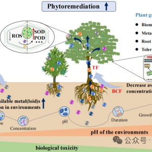 全球首次整合！木本植物修复重金属污染，三大核心因子
