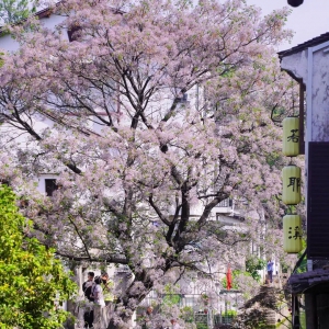 彩色・城市更新｜未来公园 公园要的不是彩色刷漆，是色彩IP ...