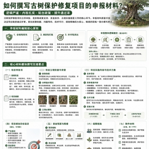 古树保护修复项目 ▍如何撰写项目的申报材料