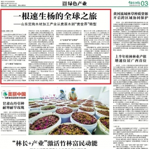 山东定陶木材加工产业从卖原木到“卖世界”转型 || 一根速生杨的全球之旅 ...