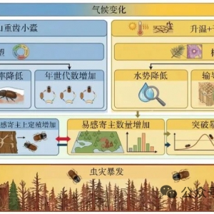 专题报道：《气候变化背景下天山天然林衰退与小蠹虫灾防控研究》专刊 ...